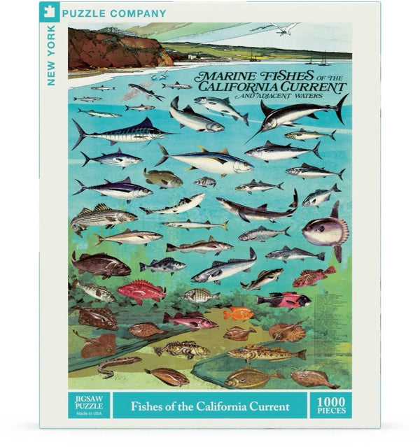 Fishes of the California Current Puzzle