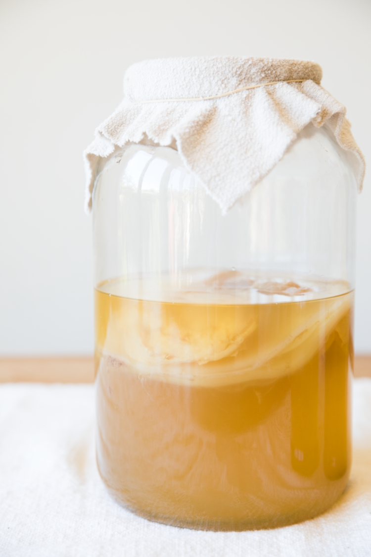 SPECIAL EDITION GUT CLUB - AUGUST - SANTA BARBARA - KOMBUCHA BREWING with Karen