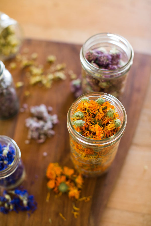 Drying Flowers and Herbs