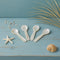 Mini Seashell Spoon