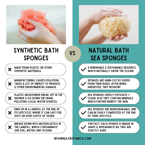 BATH SEA SPONGES - NATURAL AND SUSTAINABLE
