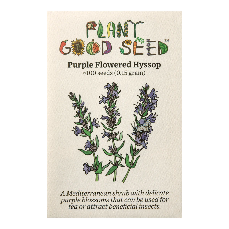 Purple Flowered Hyssop Seeds