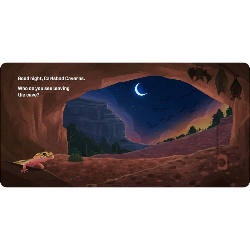 Good Night, National Parks