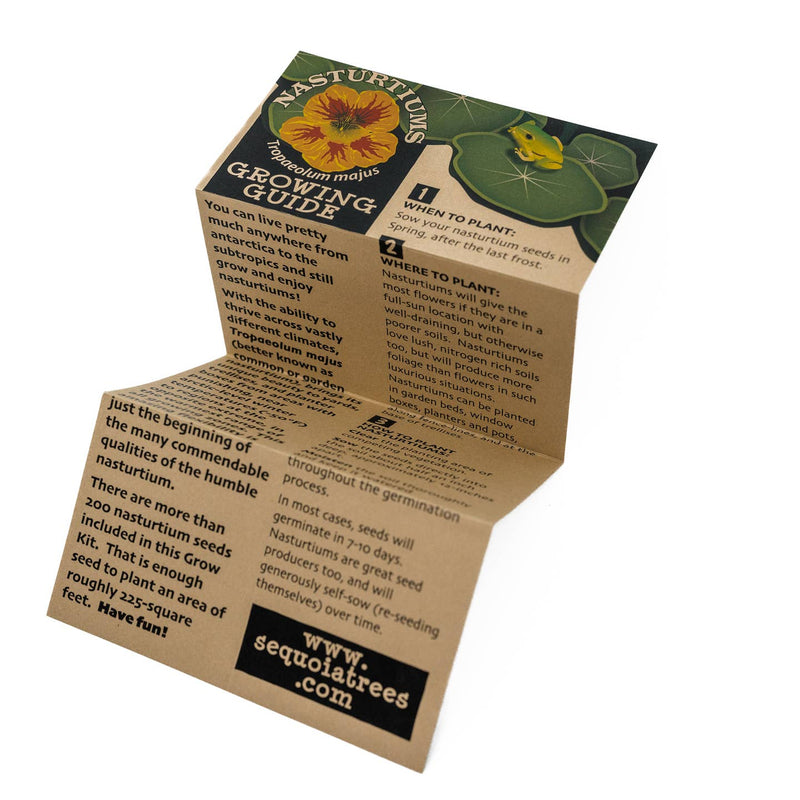 Floral Seed Growing Kit