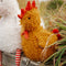 Randy The Rooster by Bunnies By The Bay