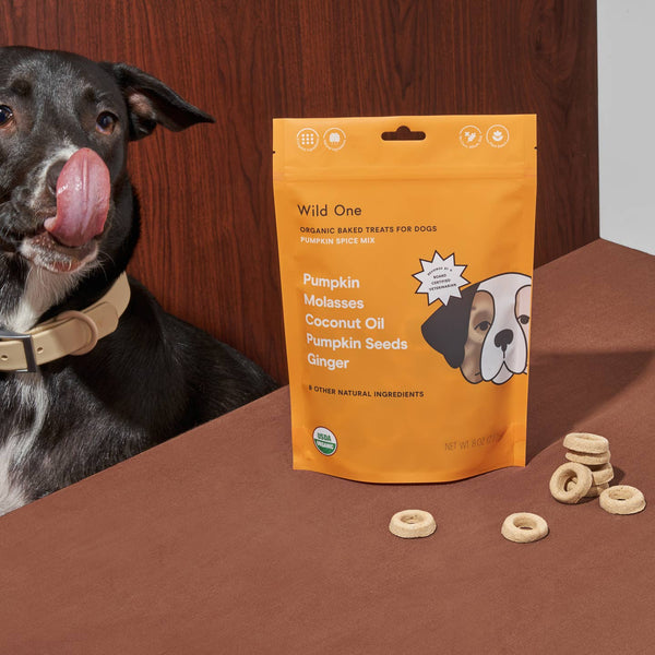 Organic Pumpkin Spice Vegan Baked Dog Treats