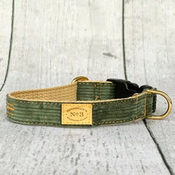 Dog Collars