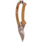 Pruners in Gift Box, Stainless Steel/Wood
