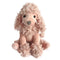 Paris the Poodle