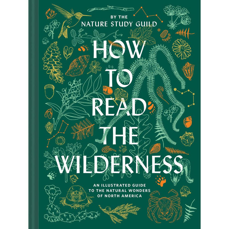 How To Read the Wilderness