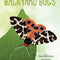 A Kid's Guide to Backyard Bugs