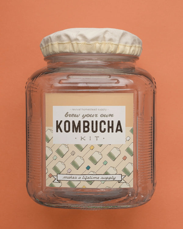 Kombucha Kit: Brew Your Own