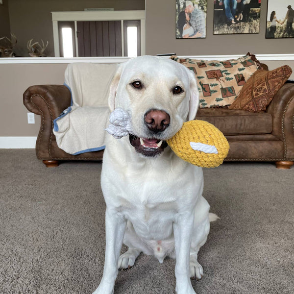 Chicken Drumstick Rope Dog Toy