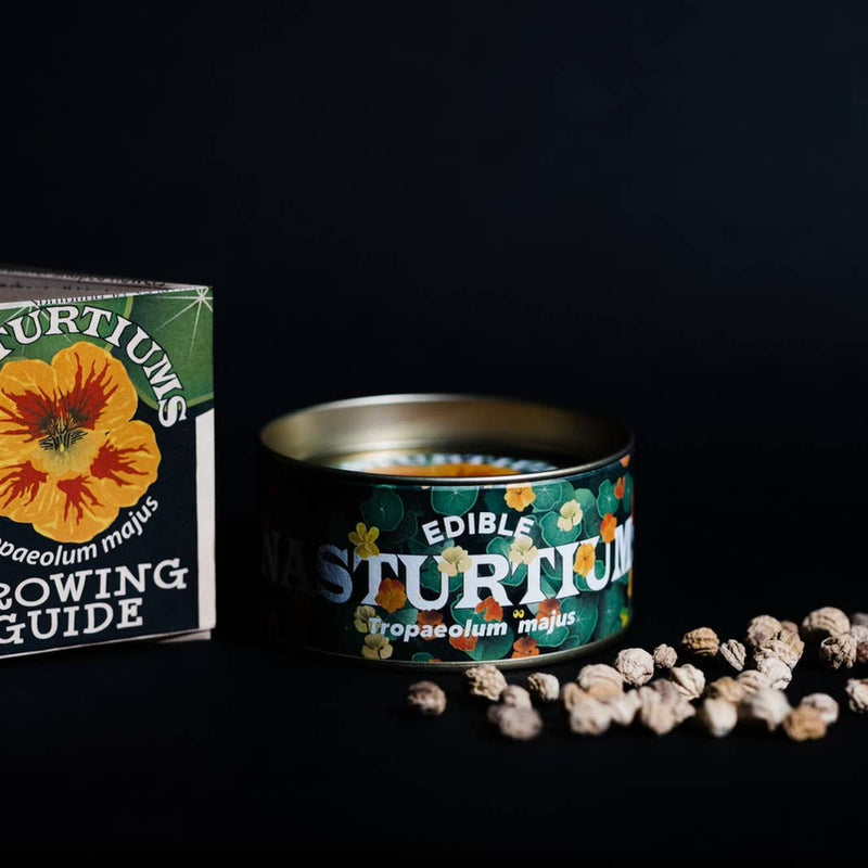 Floral Seed Growing Kit