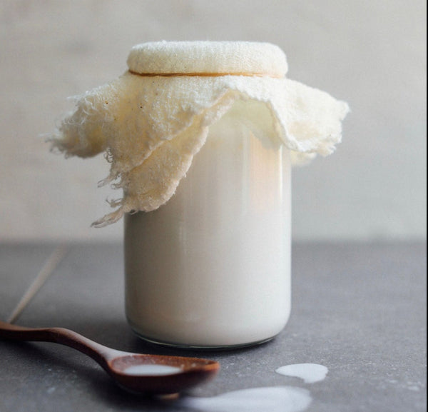 NEW! Gut Club - Seasonal Ferments Class - JULY - SANTA BARBARA