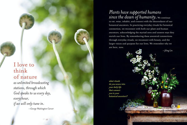 Generosity of Plants: Shared Wisdom from the Community of Herb Lovers