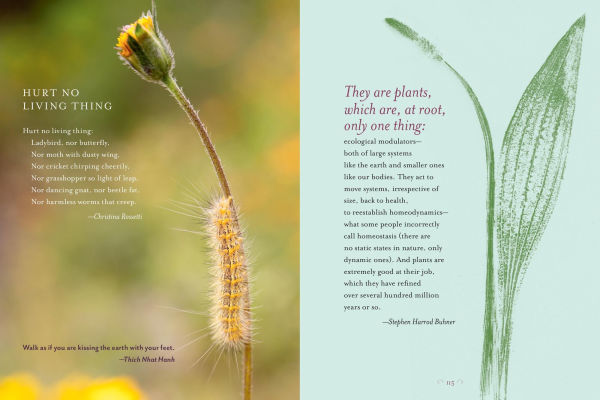 Generosity of Plants: Shared Wisdom from the Community of Herb Lovers