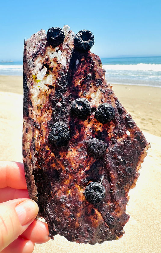100% Grass-Fed Bison Bark