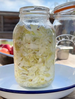 Gut Club - Seasonal Ferments Class - OCTOBER- SANTA BARBARA