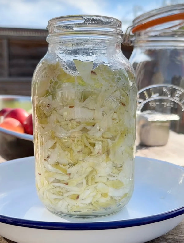 Gut Club - Seasonal Ferments Class - OCTOBER- SANTA BARBARA