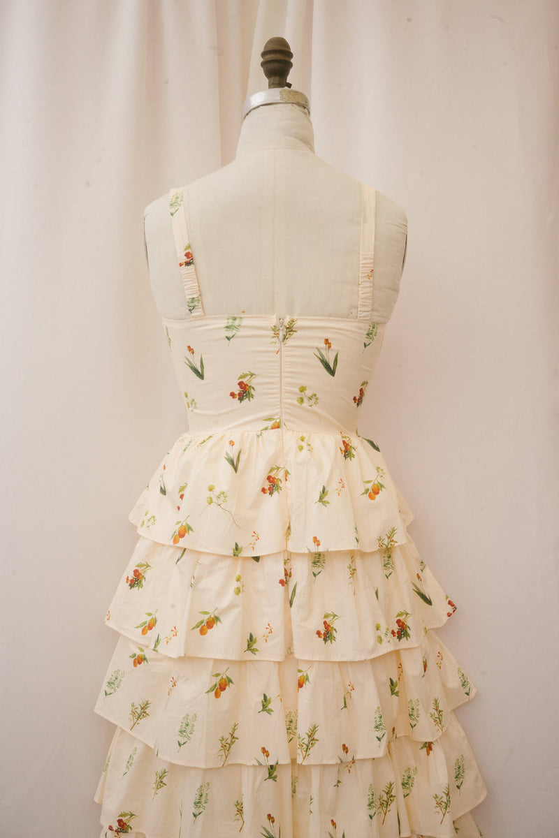 Tussie Dress