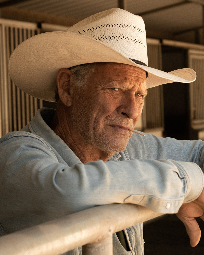 Lucky Toothpicks - Original White Birch