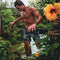 Chiller Scallop Boardshorts