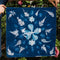Cyanotype: Sun Printing - Montecito Location