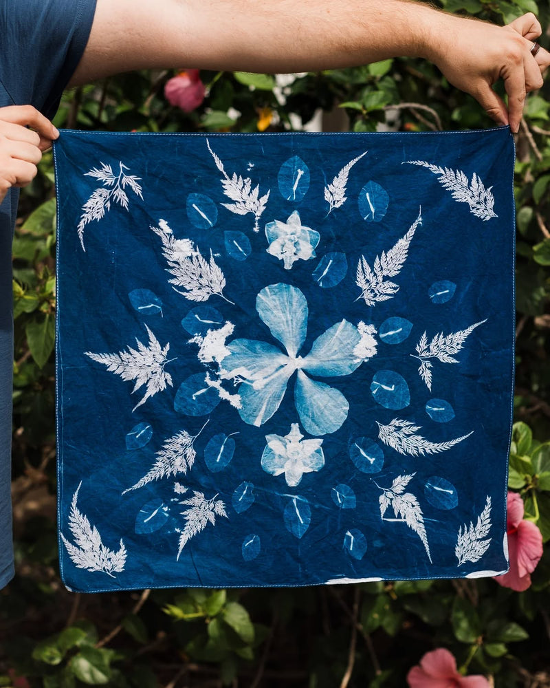CYANOTYPE: SUN PRINTING - MONTECITO LOCATION