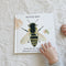 Honey Bee Book