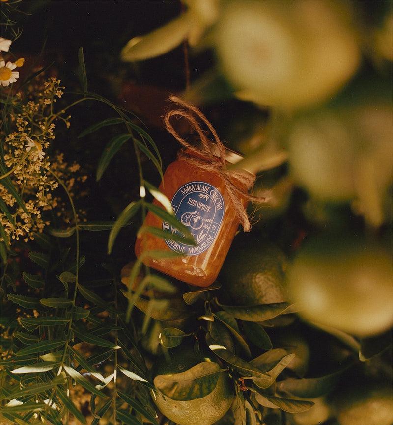 "Sunrise" Pixie Tangerine Marmalade 5 oz Jar