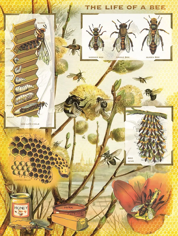 Bees & Honey - 1000 Piece Jigsaw Puzzle