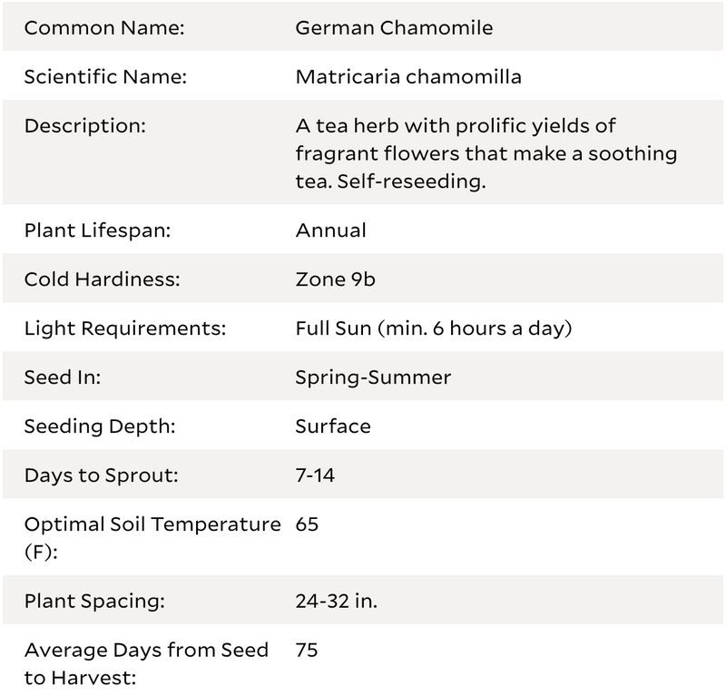 German Chamomile Seeds