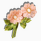 Solar Eclipse Wild Roses Hair Clip