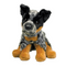 Dexter Australian Cattle Dog