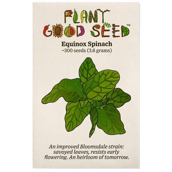 Equinox Spinach Seeds