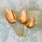 Copper Measuring Scoops