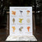 Mushrooms of California - 11" X 14" Botanical Art Print
