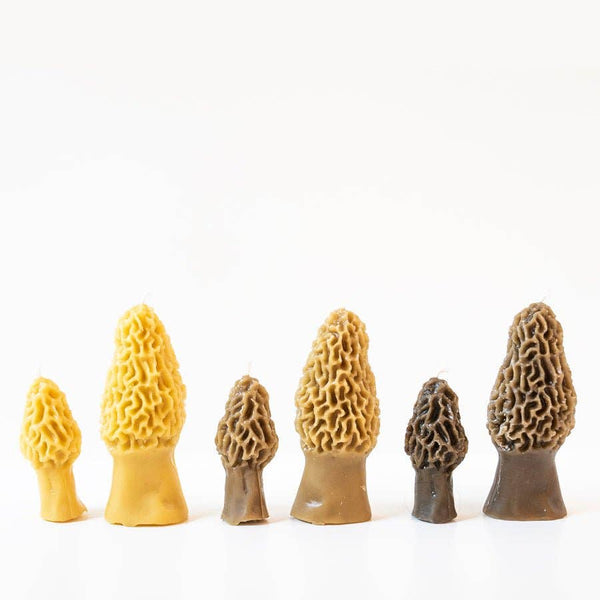 Beeswax Morel Mushroom Candle 2-pack