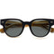Dohbro Polished Texas Tea in Sun Plano with Grey Lens