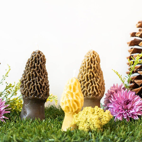 Beeswax Morel Mushroom Candle 2-pack