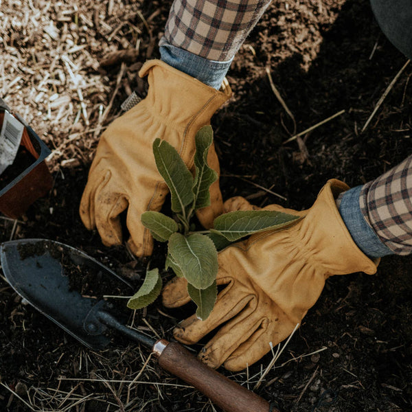 Classic Yellow Work Glove