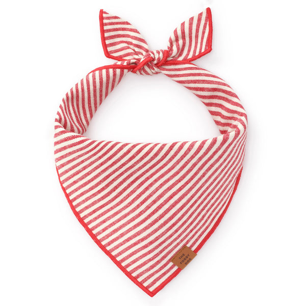 Striped Dog Bandana