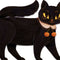 One Black Cat Book