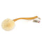 Back Body Brush w/Handle All Natural