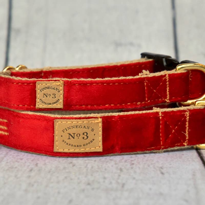 Dog Collars