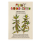 Motherwort Seeds