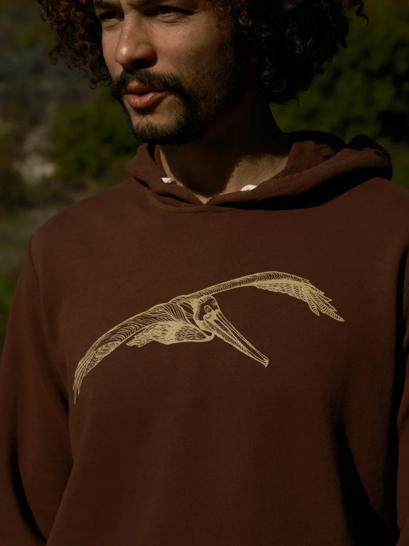 Pelican Pullover