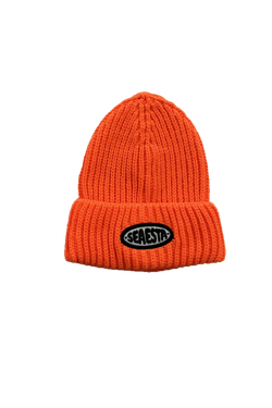 Chunky Knit Patch Beanie