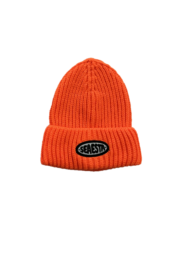 Chunky Knit Patch Beanie